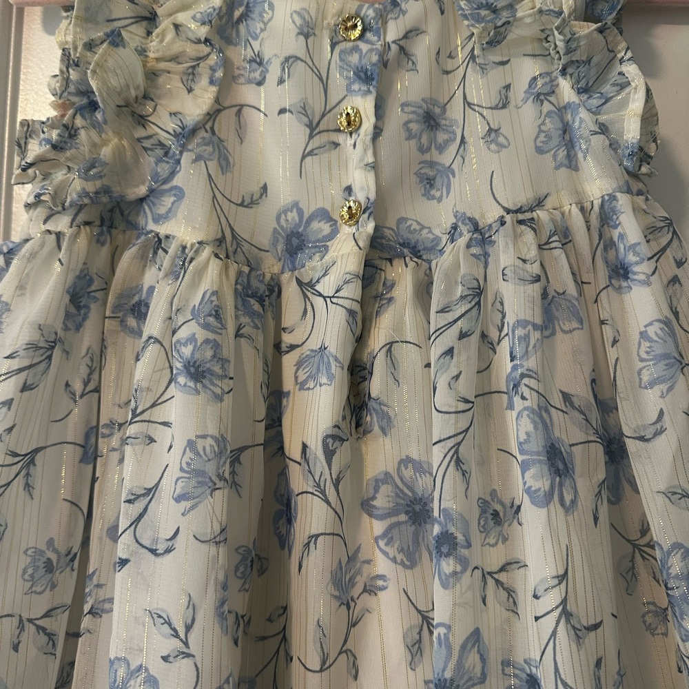 Floral Blue and White Dress - Picture 5 of 12